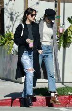 DAKOTA JOHNSON and ROISIN DONNELLY Out for Juice in West Hollywood 02/06/2019