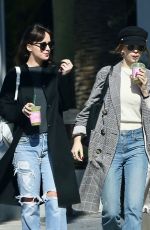 DAKOTA JOHNSON and ROISIN DONNELLY Out for Juice in West Hollywood 02/06/2019