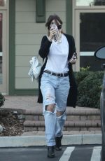 DAKOTA JOHNSON in Ripped Jeans Out in Los Angeles 02/11/2019