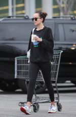 DAKOTA JOHNSON Out Shopping in Los Angeles 02/01/2019