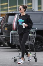 DAKOTA JOHNSON Out Shopping in Los Angeles 02/01/2019