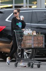 DAKOTA JOHNSON Out Shopping in Los Angeles 02/01/2019