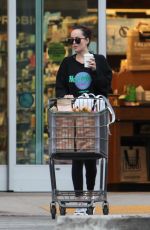 DAKOTA JOHNSON Out Shopping in Los Angeles 02/01/2019