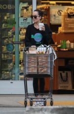 DAKOTA JOHNSON Out Shopping in Los Angeles 02/01/2019