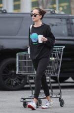 DAKOTA JOHNSON Out Shopping in Los Angeles 02/01/2019