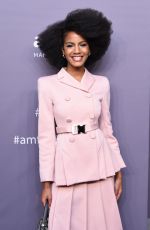 EBONEE DAVIS at Amfar New York Gala 2019 02/06/2019