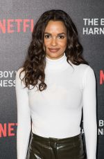 FRANCES AATERNIR at The Boy Who Harnessed the Wind Screening in London 02/19/2019
