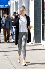 GAL GADOT Out at Farmers Market in Los Angeles 02/24/2019