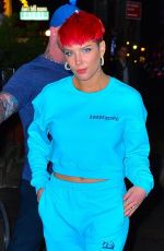 HALSEY Shows off Red Hairdo at SNL Cast Dinner in New York 02/05/2019