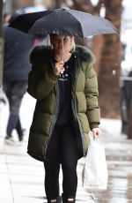 HILARY DUFF Out and About in Studio City 02/03/2019