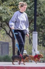 IRELAND BALDWIN Out with Her Dogs in Santa Monica 02/15/2019