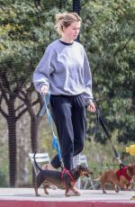 IRELAND BALDWIN Out with Her Dogs in Santa Monica 02/15/2019