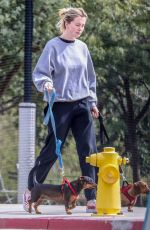 IRELAND BALDWIN Out with Her Dogs in Santa Monica 02/15/2019
