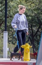 IRELAND BALDWIN Out with Her Dogs in Santa Monica 02/15/2019