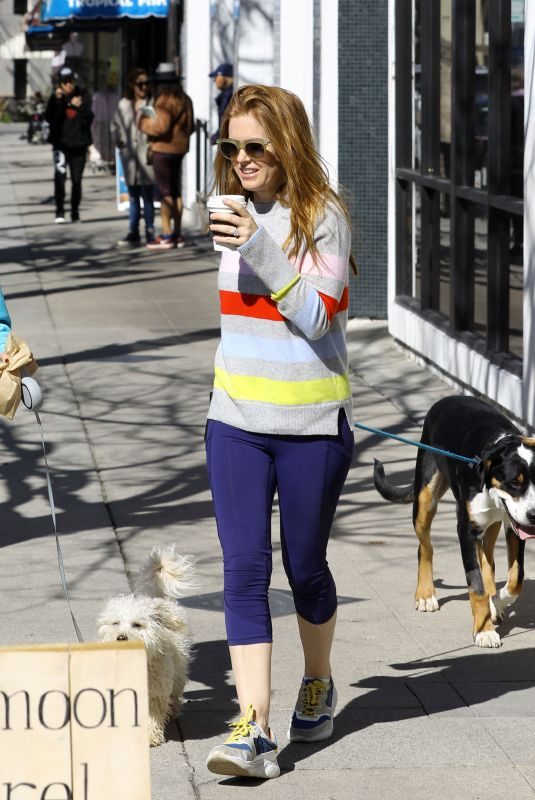 ISLA FISHER Out with her Dog in Studio City 02/22/2019