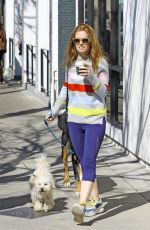 ISLA FISHER Out with her Dog in Studio City 02/22/2019