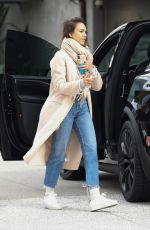 JESSICA ALBA Out Shopping in Los Angeles 02/01/2019