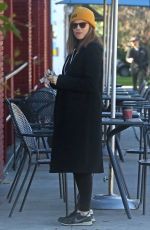 KATE MARA and Jamie Bell Out with Their Dogs in Los Angeles 02/18/2019