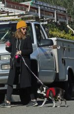 KATE MARA and Jamie Bell Out with Their Dogs in Los Angeles 02/18/2019