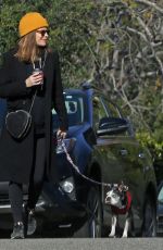 KATE MARA and Jamie Bell Out with Their Dogs in Los Angeles 02/18/2019