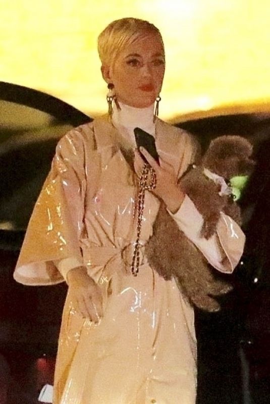 KATY PERRY Out for Dinner in Malibu 02/01/2019