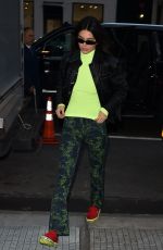 KENDALL JENNER Out in New York 02/08/2019