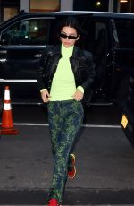 KENDALL JENNER Out in New York 02/08/2019
