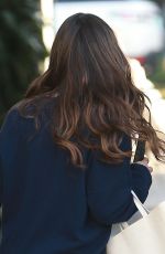 LEA MICHELE Leaves Nine Zero One Salon in West Hollywood 02/19/2019