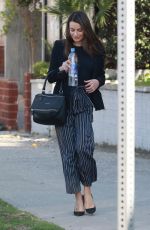 LEA MICHELE Out and About in Studio City 02/25/2019