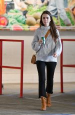 LILY COLLINS Out and About in Los Angeles 02/12/2019