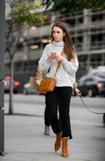 LILY COLLINS Out and About in Los Angeles 02/12/2019