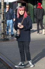 MAISIE WILLIAMS Out in New York 02/11/2019