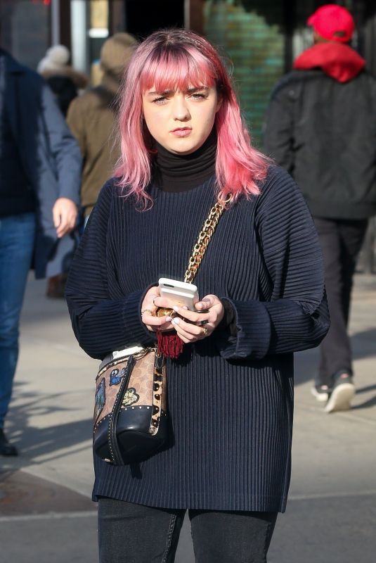 MAISIE WILLIAMS Out in New York 02/11/2019