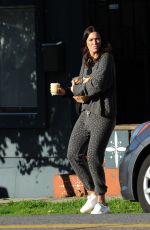 MANDY MOORE Out and About in Los Angeles 02/17/2019