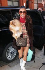 MELODY THORNTON Out with Her Dog in London 02/07/2019