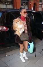 MELODY THORNTON Out with Her Dog in London 02/07/2019