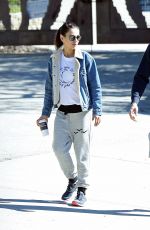 MILA KUNIS and Ashton Kutcher Out in Los Angeles 02/22/2019