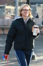 NAOMI WATTS Our in New York 02/04/2019