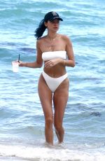 NICOLE WILLIAMS in Bikini on the Beach in Miami 02/22/2019