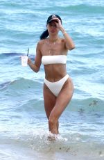 NICOLE WILLIAMS in Bikini on the Beach in Miami 02/22/2019