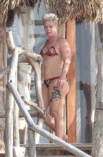 PINK in BIkini at a Beach in Tulum 02/27/2019