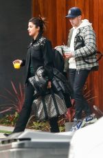 PRIYANKA CHOPRA and Nick Jonas Out in Los Angeles 02/01/2019