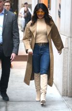 PRIYANKA CHOPRA Out in New York 02/05/2019