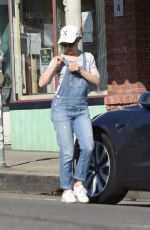 RACHEL MCADAMS in Denim Overalls Out Shopping in Los Angeles 02/26/2019
