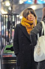 REBECCA HUMPHRIES Out and About in New York 01/30/2019