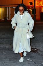 RIHANNA Night Out in New York 02/01/2019