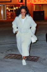 RIHANNA Night Out in New York 02/01/2019