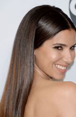 ROSELYN SANCHEZ at 2019 TCA Winter Press Tour in PAsadena 02/05/2019