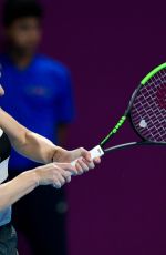 SIMONA HALEP Lost 2019 WTA Qatar Open Final in Doha 02/15/2019
