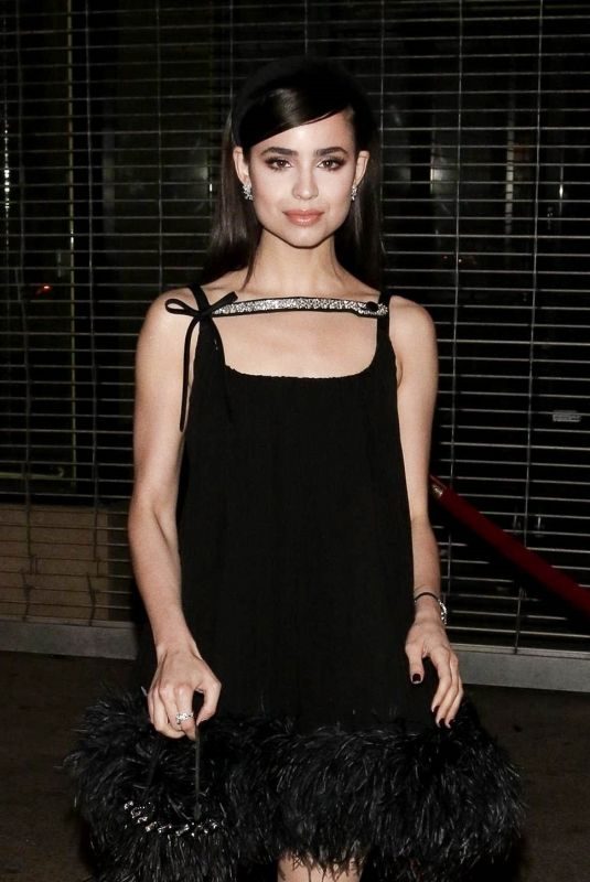 SOFIA CARSON Night Out in Los Angeles 02/15/2019